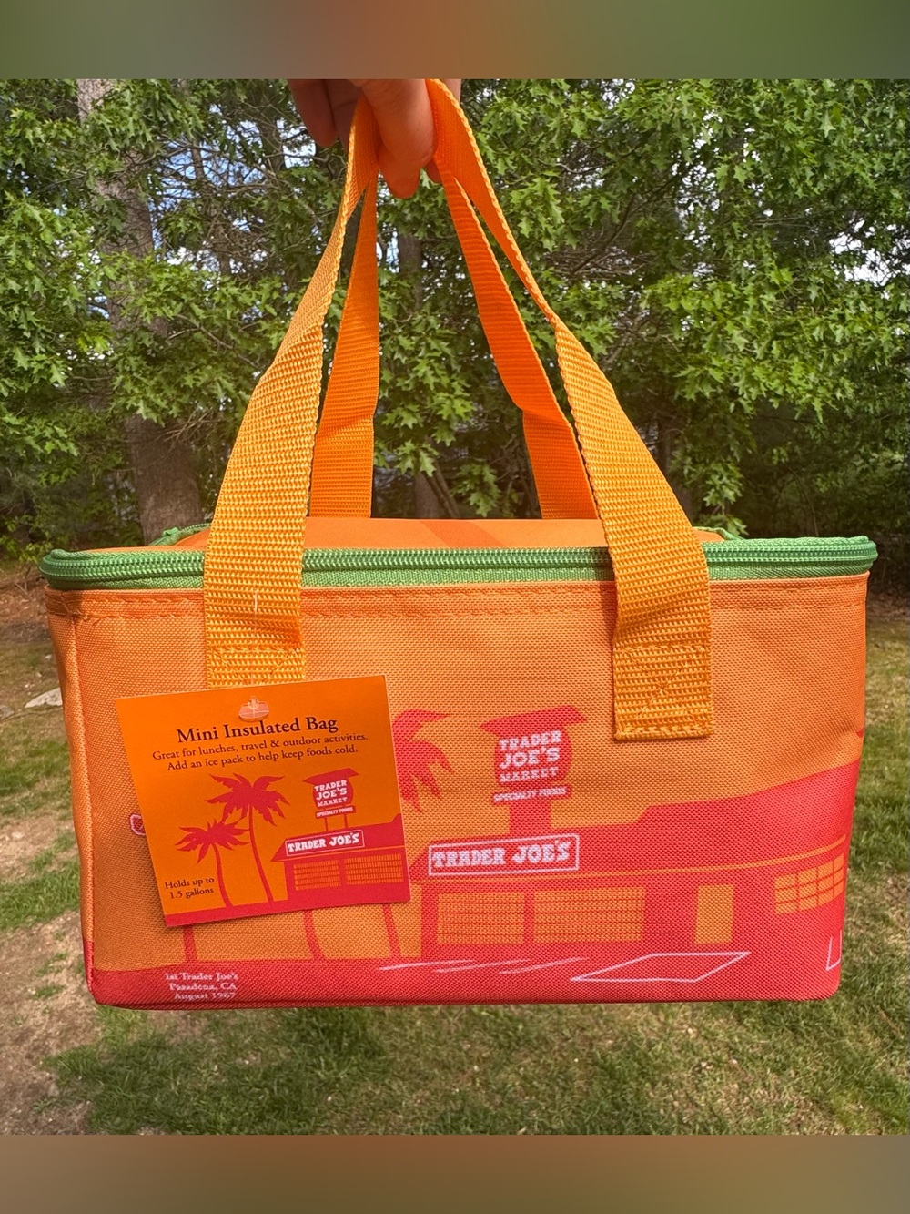 Viral Sold Out Trader Joe’s Mini Insulated Tote Summer Collection 2026